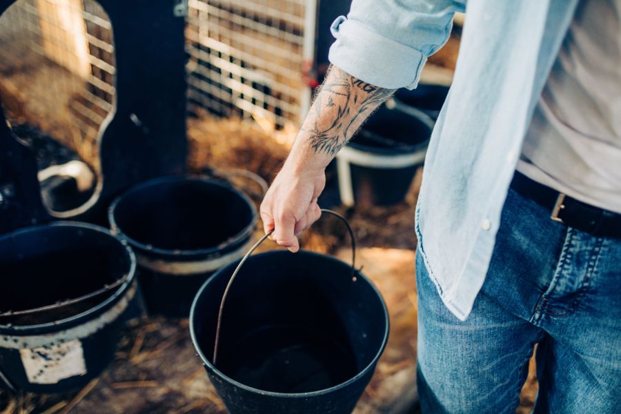 Close up of young man working at farm in cow shed.